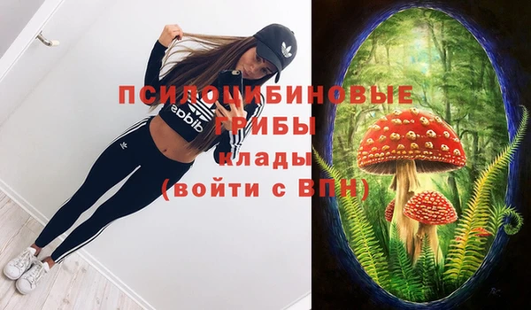 молекула духа Баксан