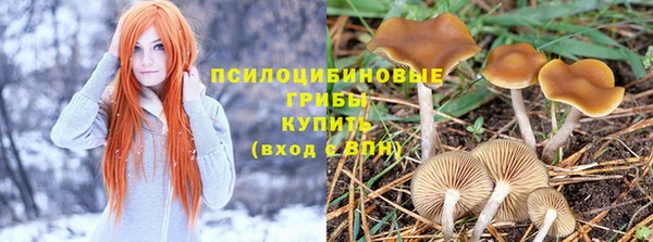 дживик Балабаново