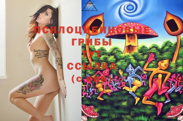 дживик Балабаново