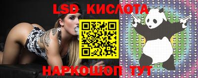 первитин Камышлов