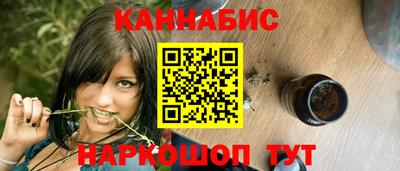 сатива Кингисепп