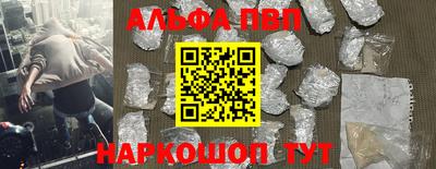 сатива Кингисепп