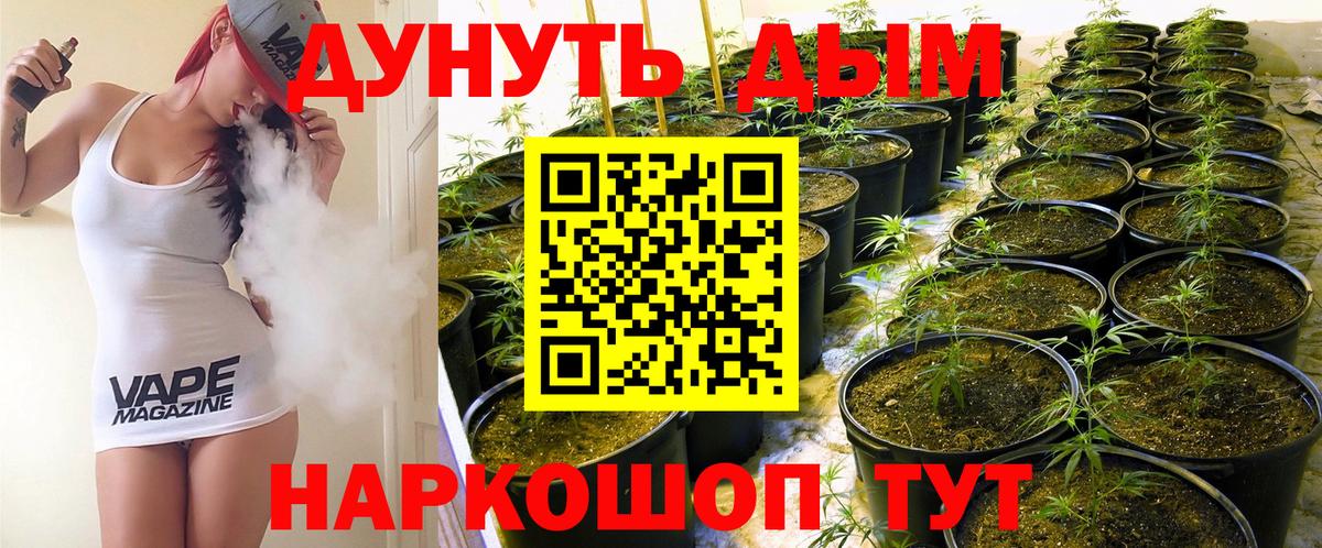 Бошки марихуана LSD WEED Кубинка
